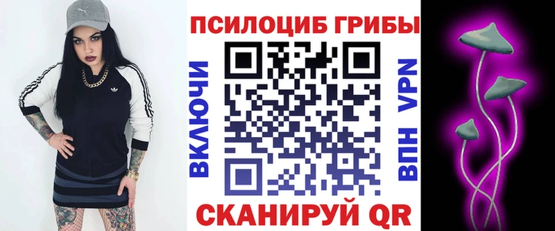 даркнет как зайти  Ядрин  Псилоцибиновые грибы прущие грибы 